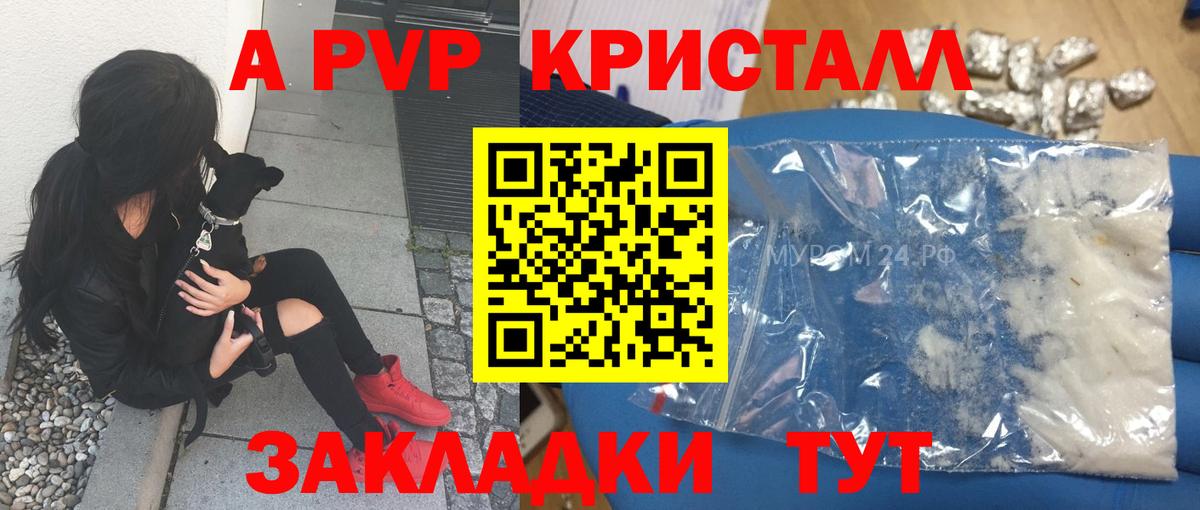 Alfa_PVP СК КРИС Аша