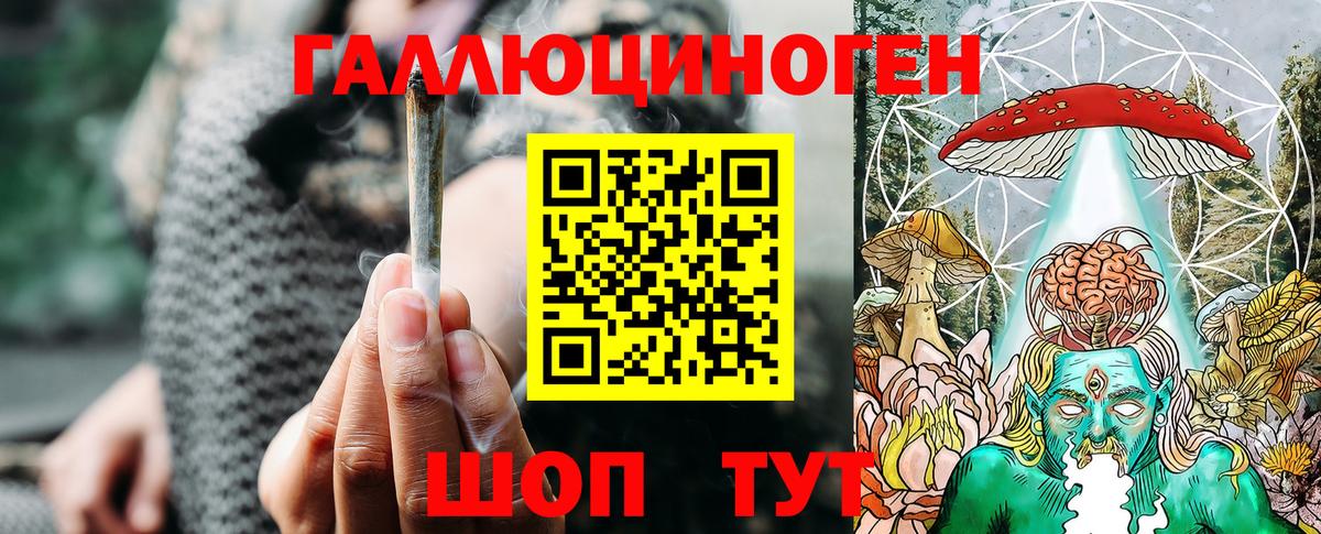Галлюциногенные грибы Psilocybine cubensis Аша